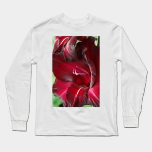 Gladiolus  'Black Surprise' Long Sleeve T-Shirt